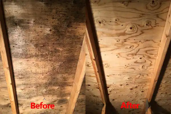 water damage restoration service Plattsburgh West